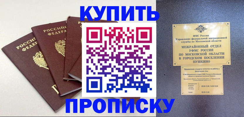 временная регистрация собственник в Старой Купавне
